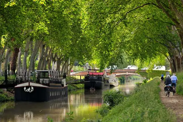 ©iStock/therry