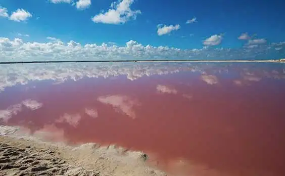 The pink lakes of Las Coloradas. ©iStock.com/javarman3