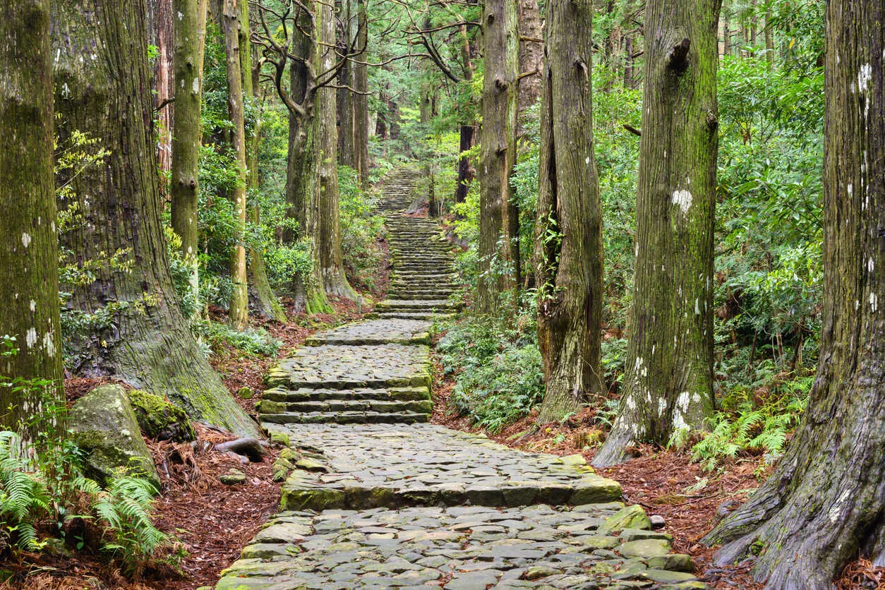 Kumano Kodo, an ancient pilgrimage route in Japan, winding through serene forests and sacred sites.