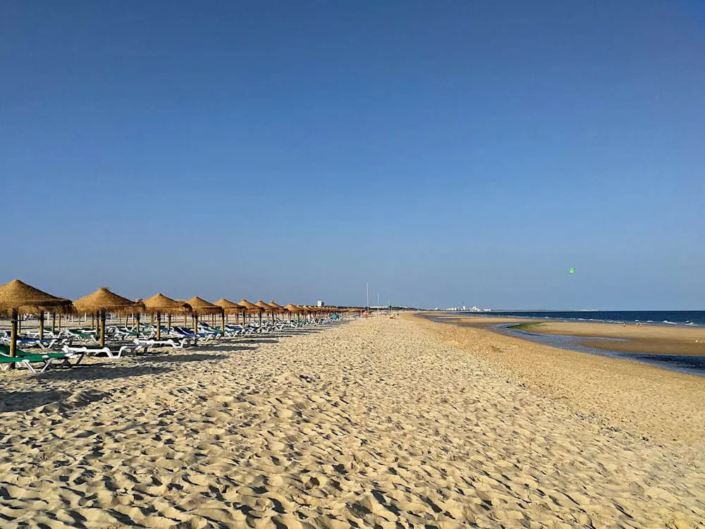 Shallow, warm waters and birdlife near the Ria Formosa Natural Park.