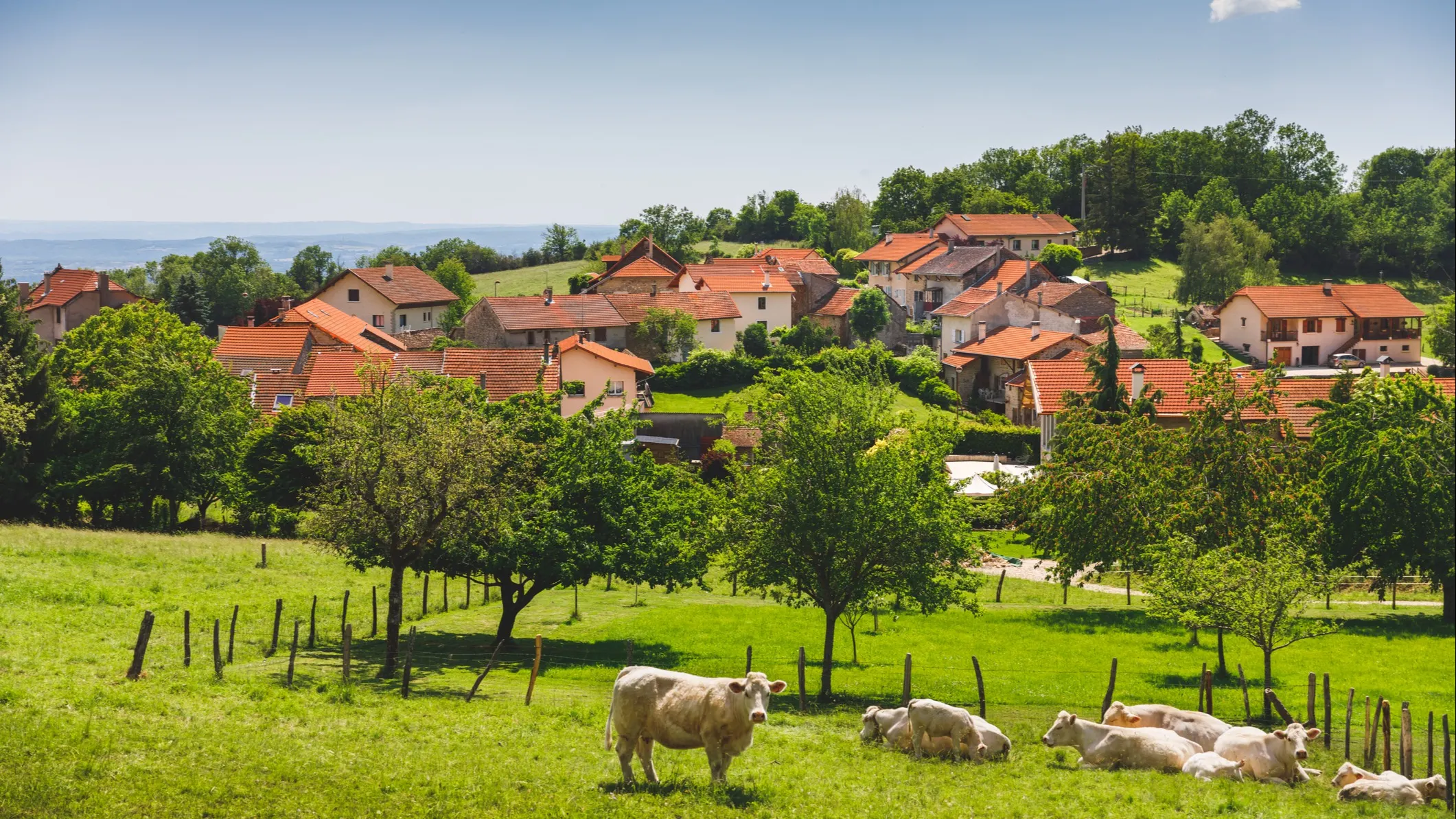 ©iStock/Gregory_DUBUS