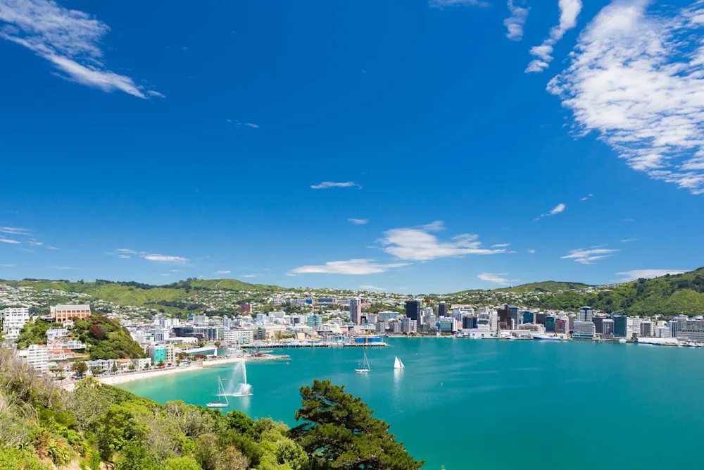 Wellington’s stunning harbor—a prime destination for expats and digital nomads.