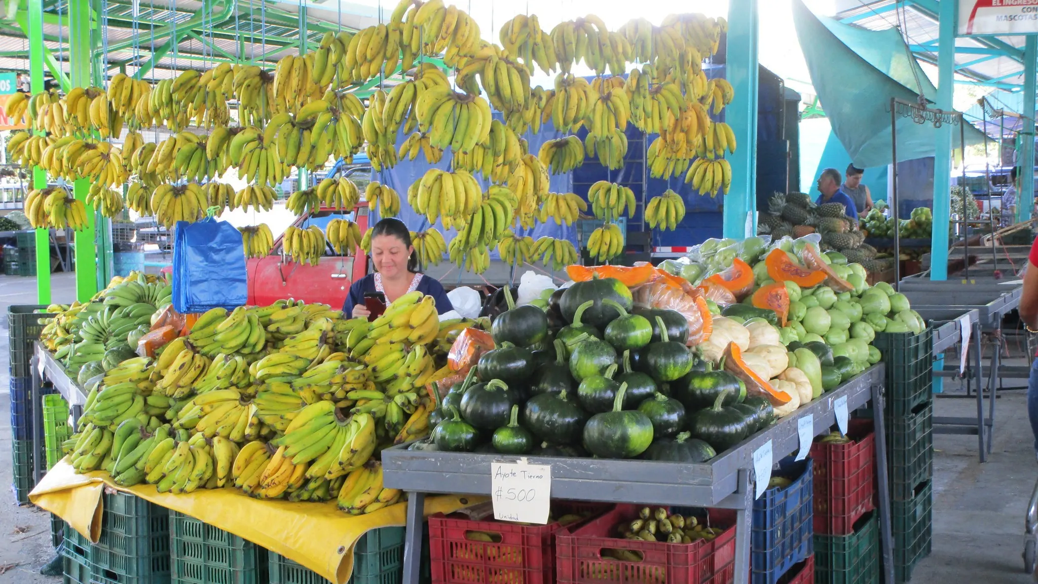 Grecia Feria, Costa Rica