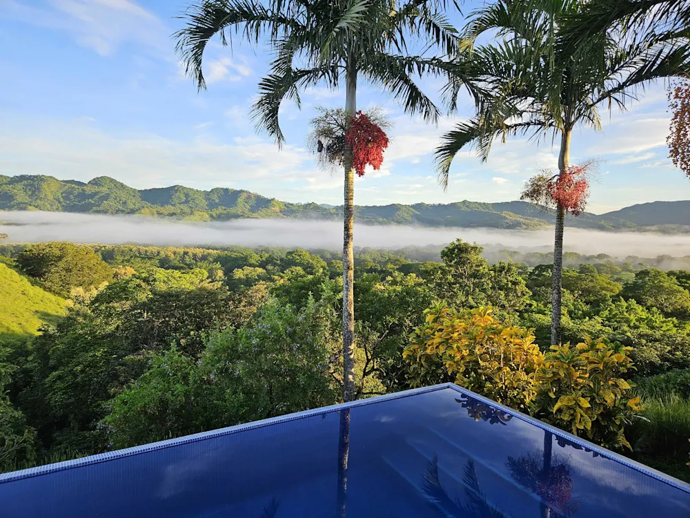 This view sealed the deal—misty mornings and mountain silence from our backyard.
