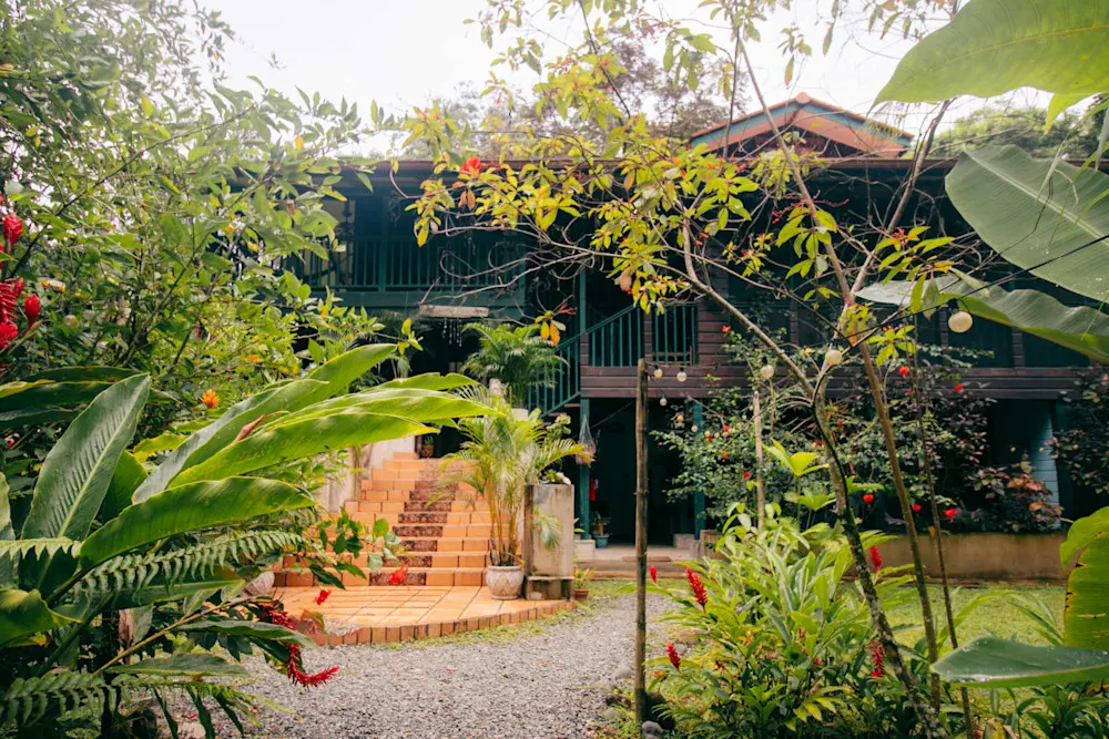 Lush jungle surrounds Casa de Mono, the family’s boutique B&B on Isla Colón.