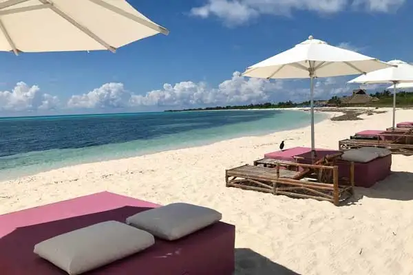 Beach lounges and day beds at Punta Sur, Cozumel’s largest eco-park and one of my favorite ‘offices’.