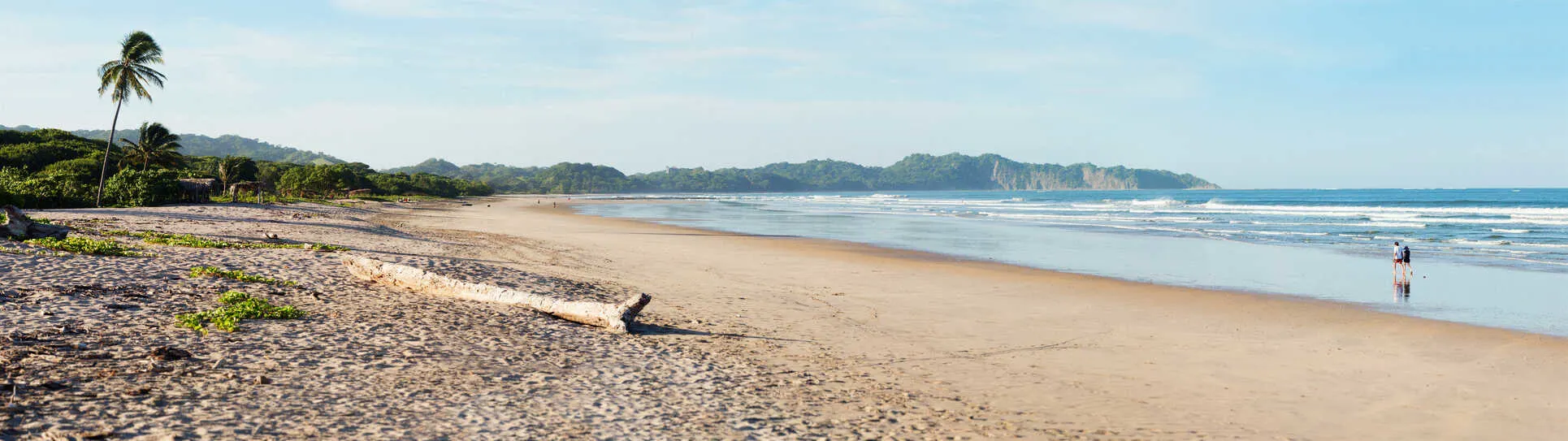 Nosara: Where jungle meets surf and life flows with pura vida.