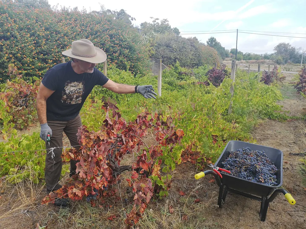 Keith at work in our vineyard at Quinta dos Sonhos.