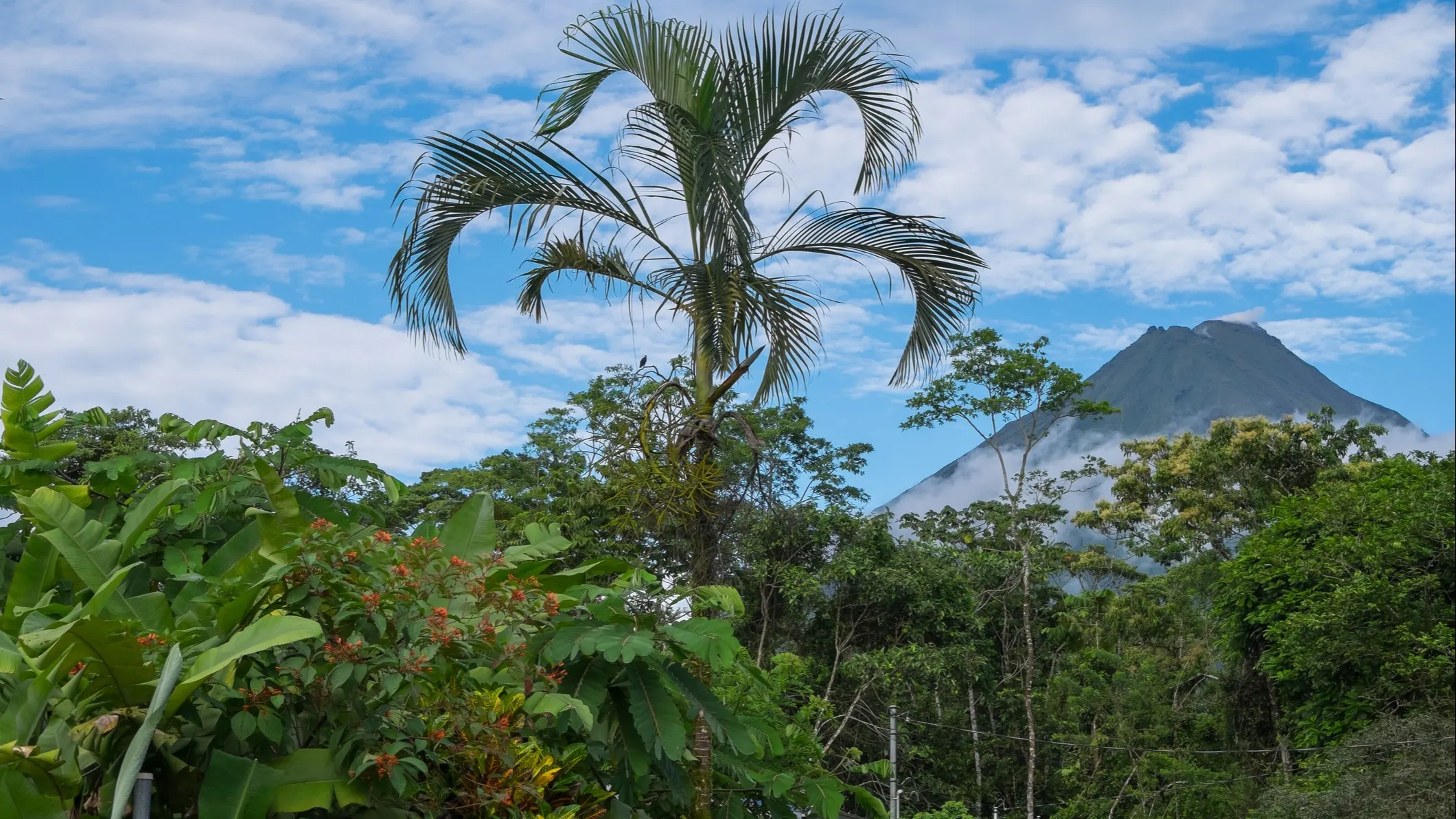 ©iStock/Salvador-Aznar