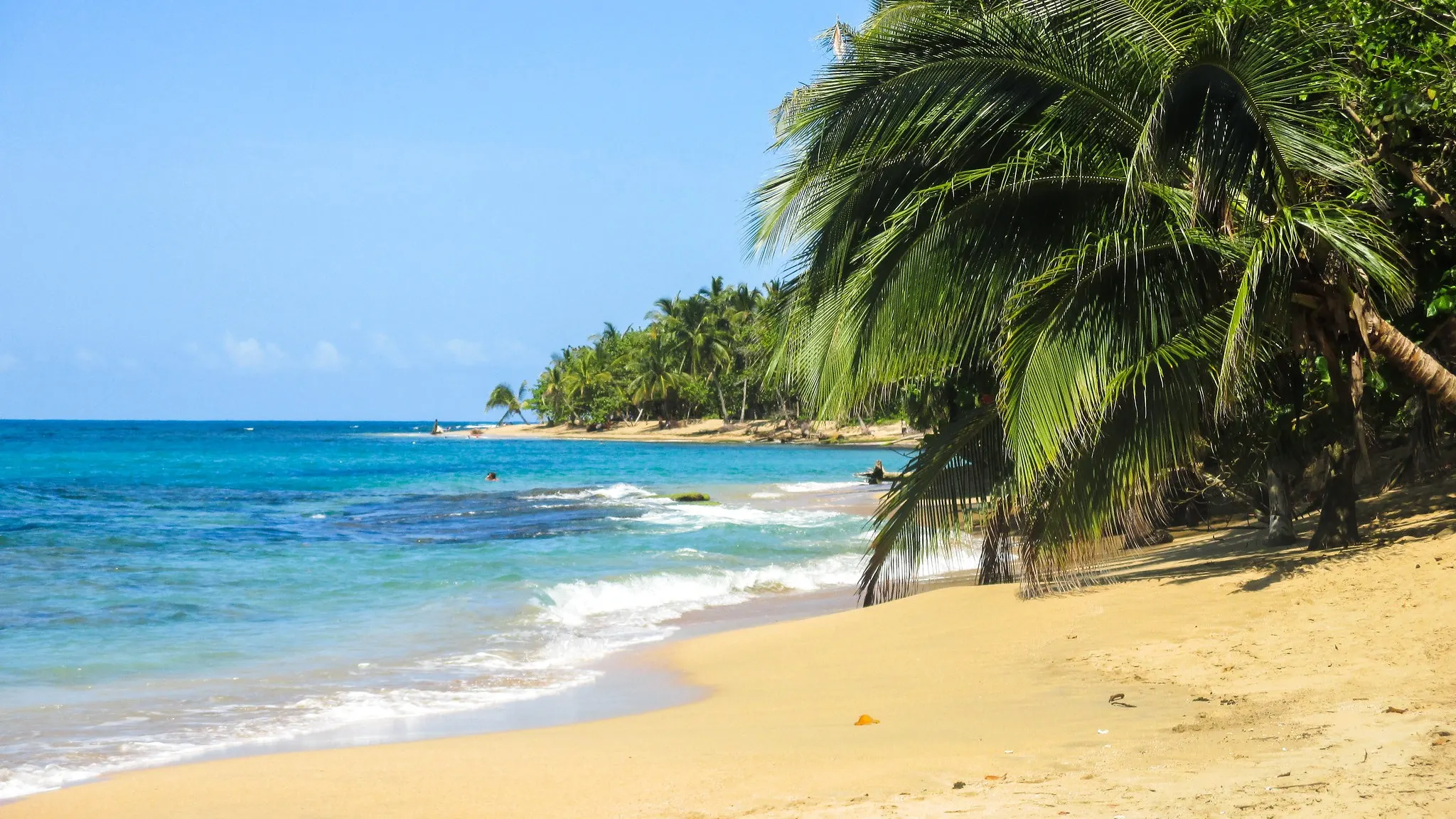 Punta Uva, Caribbean Coast, Costa Rica