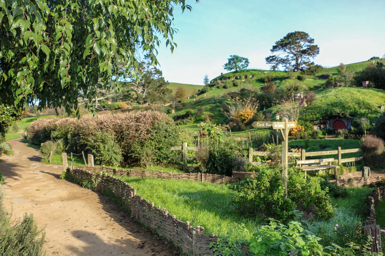 Discover Hobbiton: The iconic movie set in New Zealand's lush countryside.