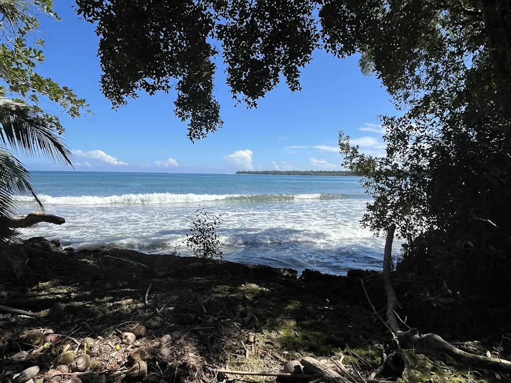A tranquil view of Cahuita’s pristine coastline—where the jungle meets the sea.
