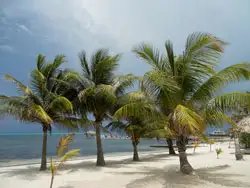 Placencia, Belize is the most popular region in Stann Creek to rent, buy or build a home.
