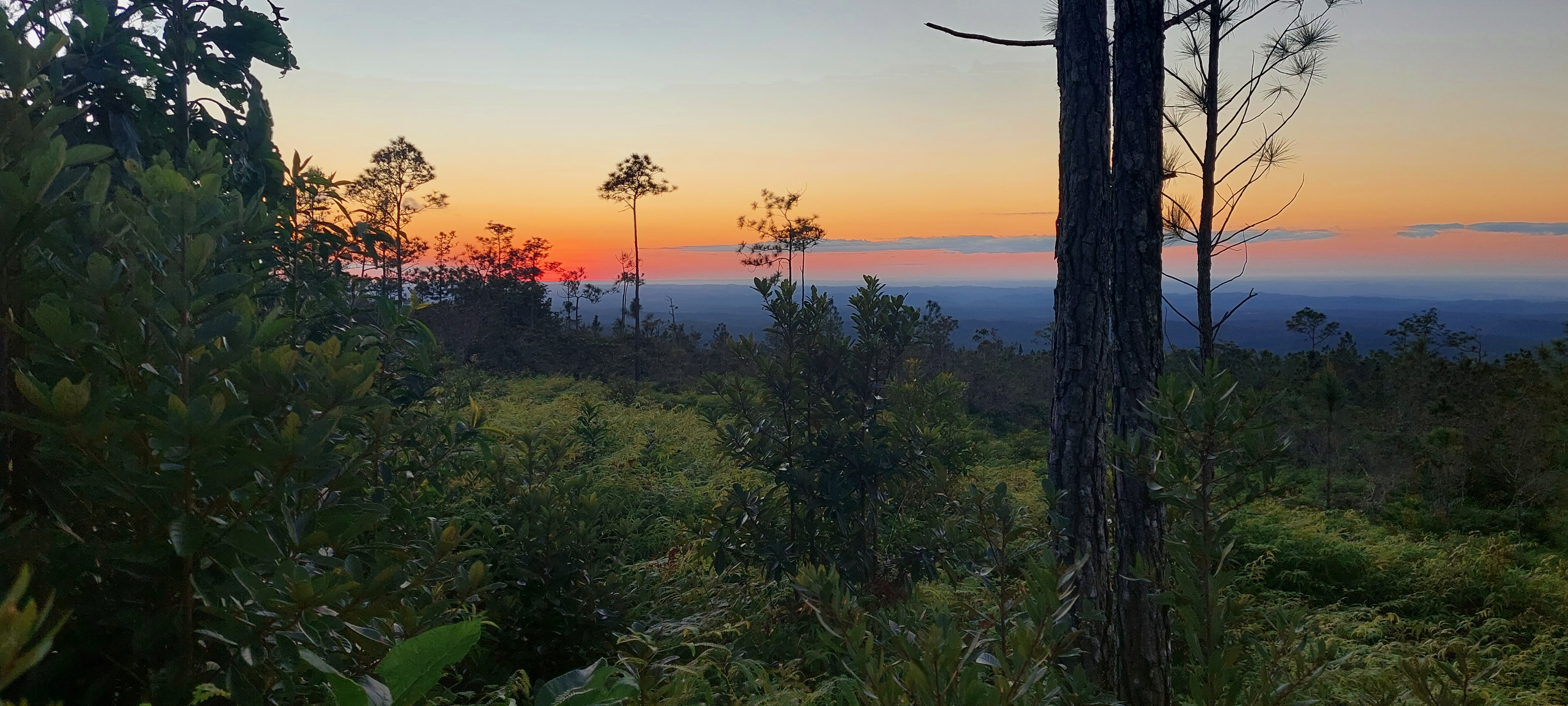 Healthcare in Belize: Overview Of The Belize Healthcare System & Costs