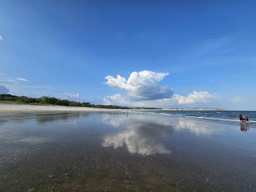 Black-and-white sand shores stretch for miles in San Carlos.