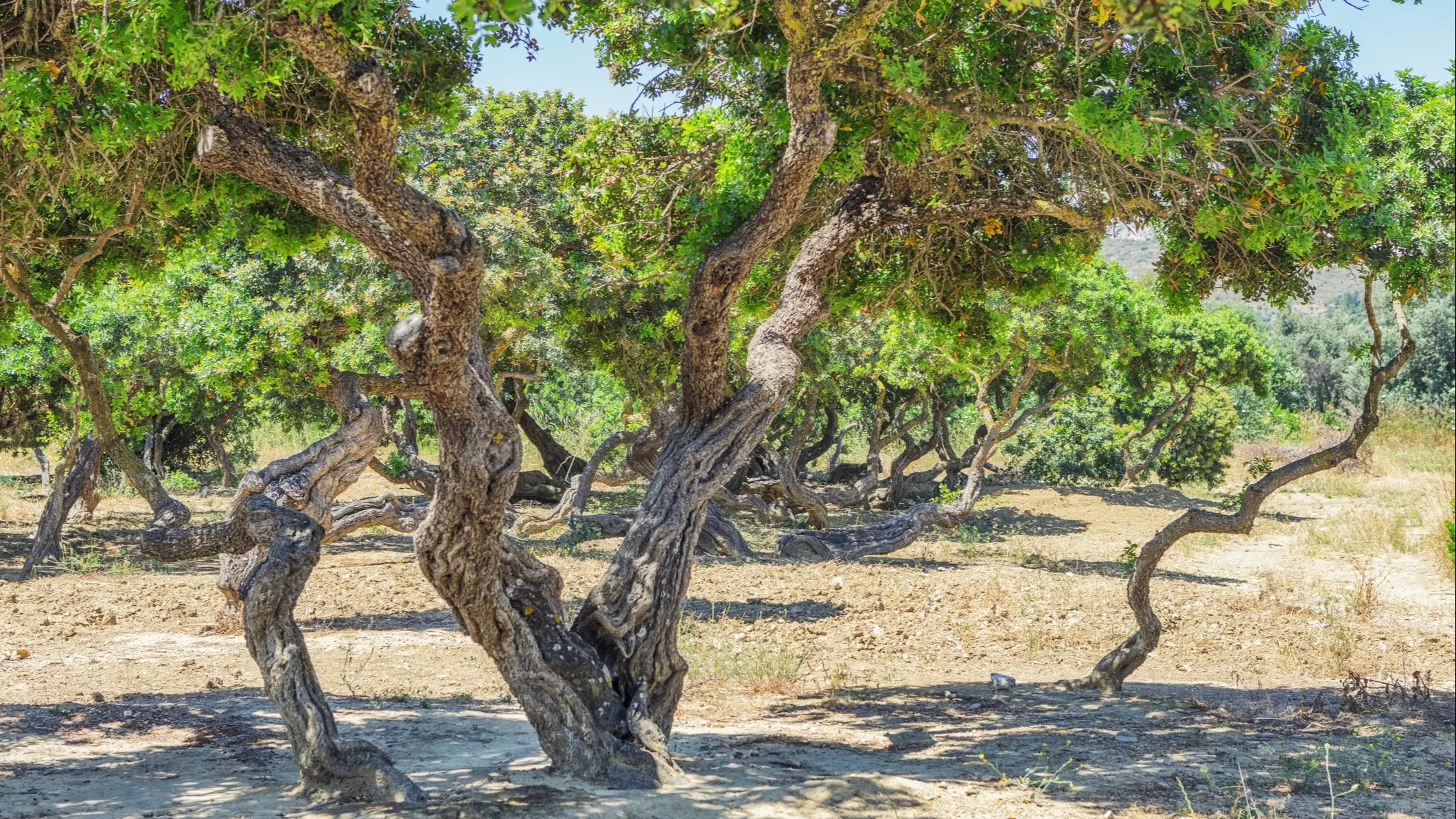 ©iStock/tunart