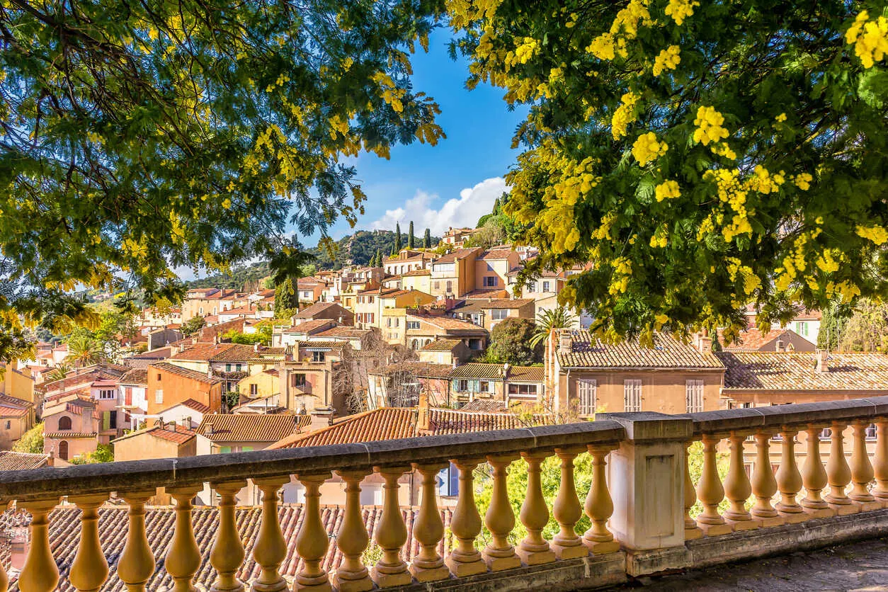 Sea views and blooming mimosa trees brighten Bormes-les-Mimosas.