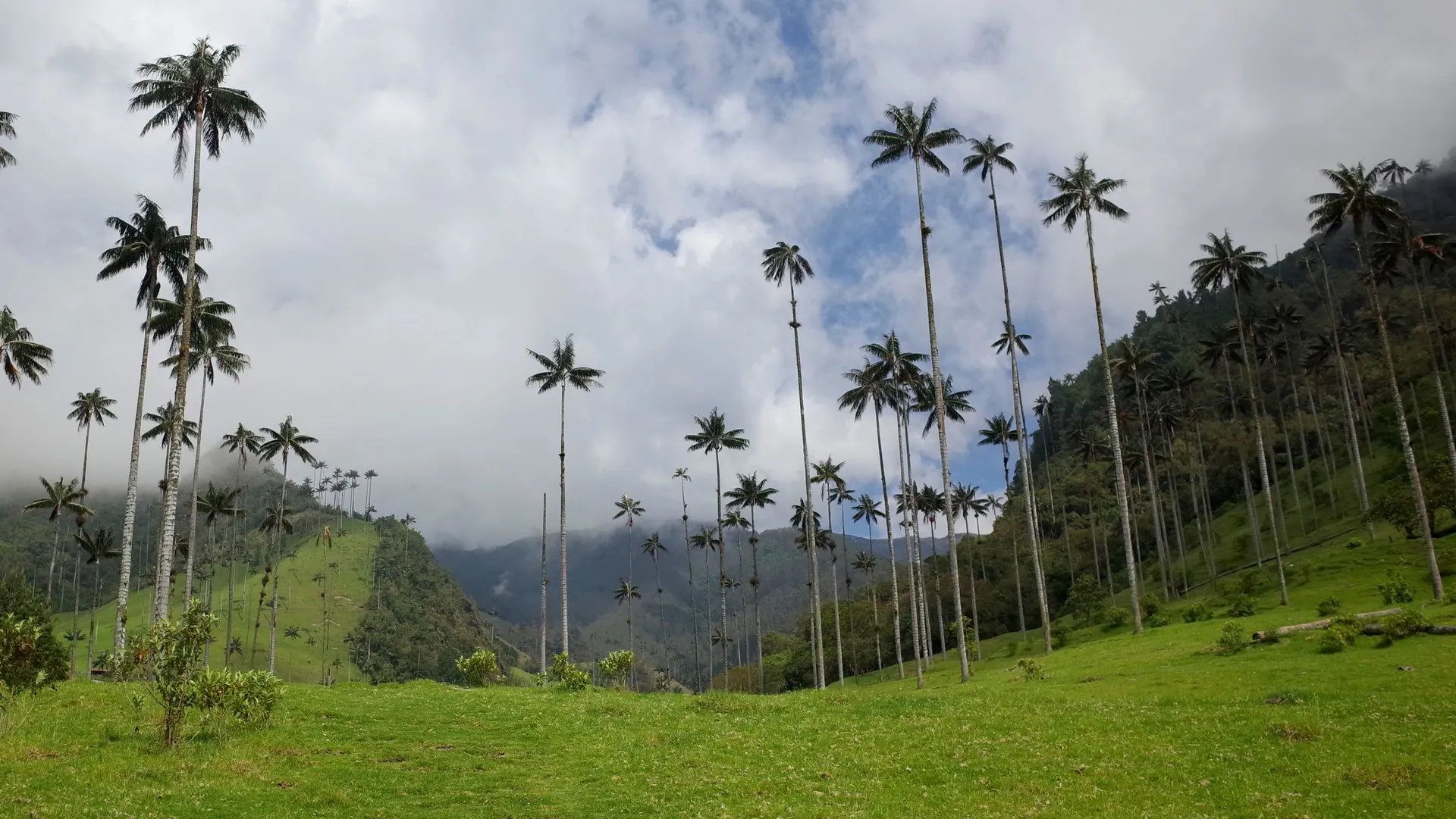 ©iStock/James Wagstaff