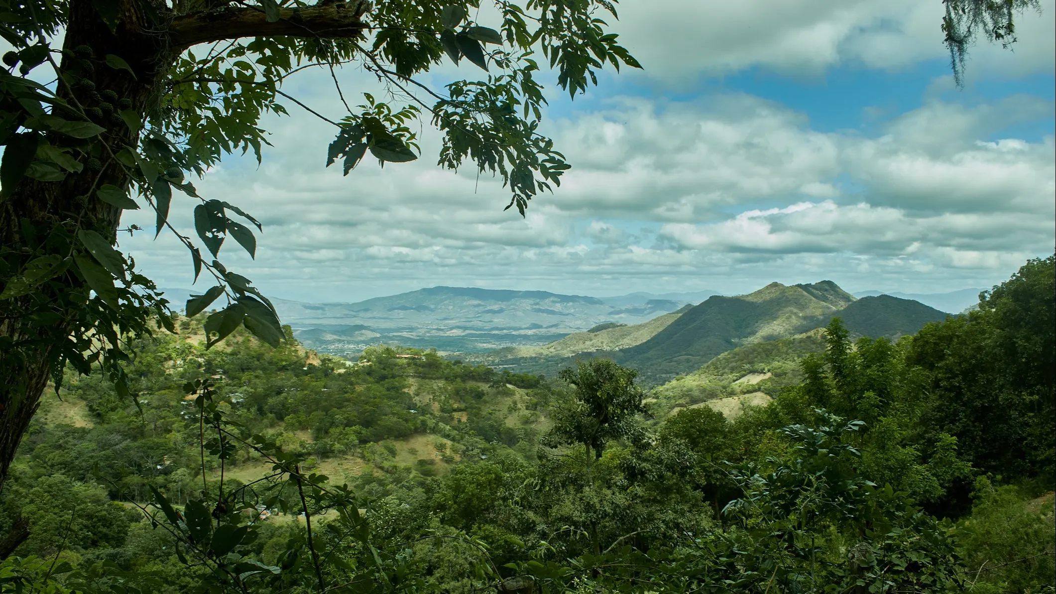 ©iStock/Magdiel Lopez