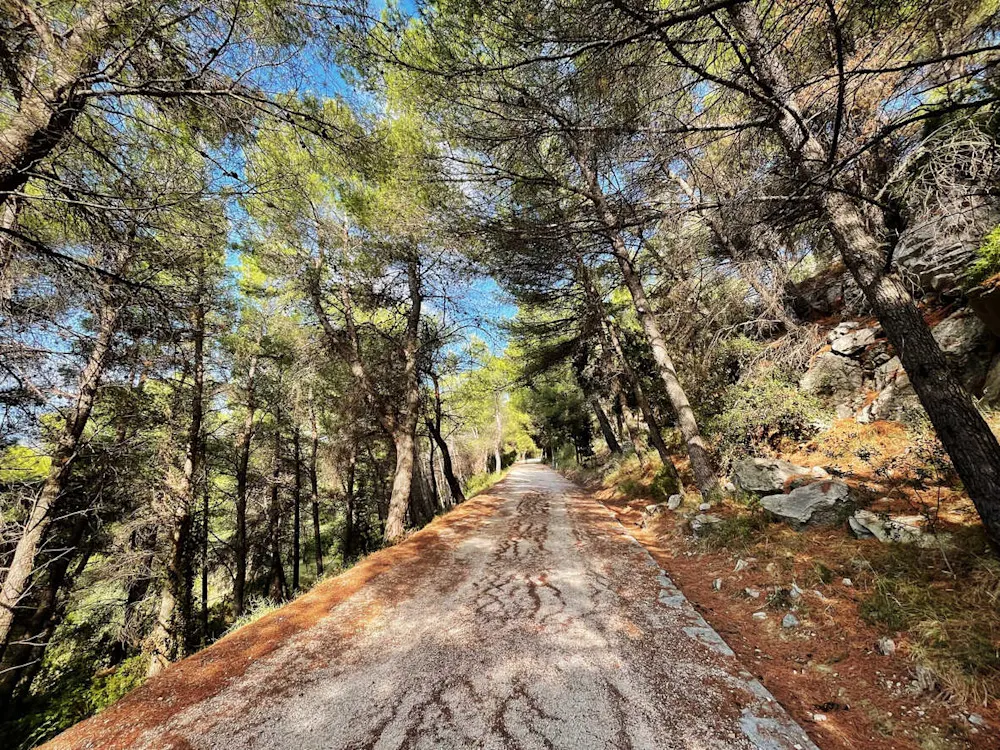 Locals escape the summer crowds in shaded trails and quiet coves on Marjan.