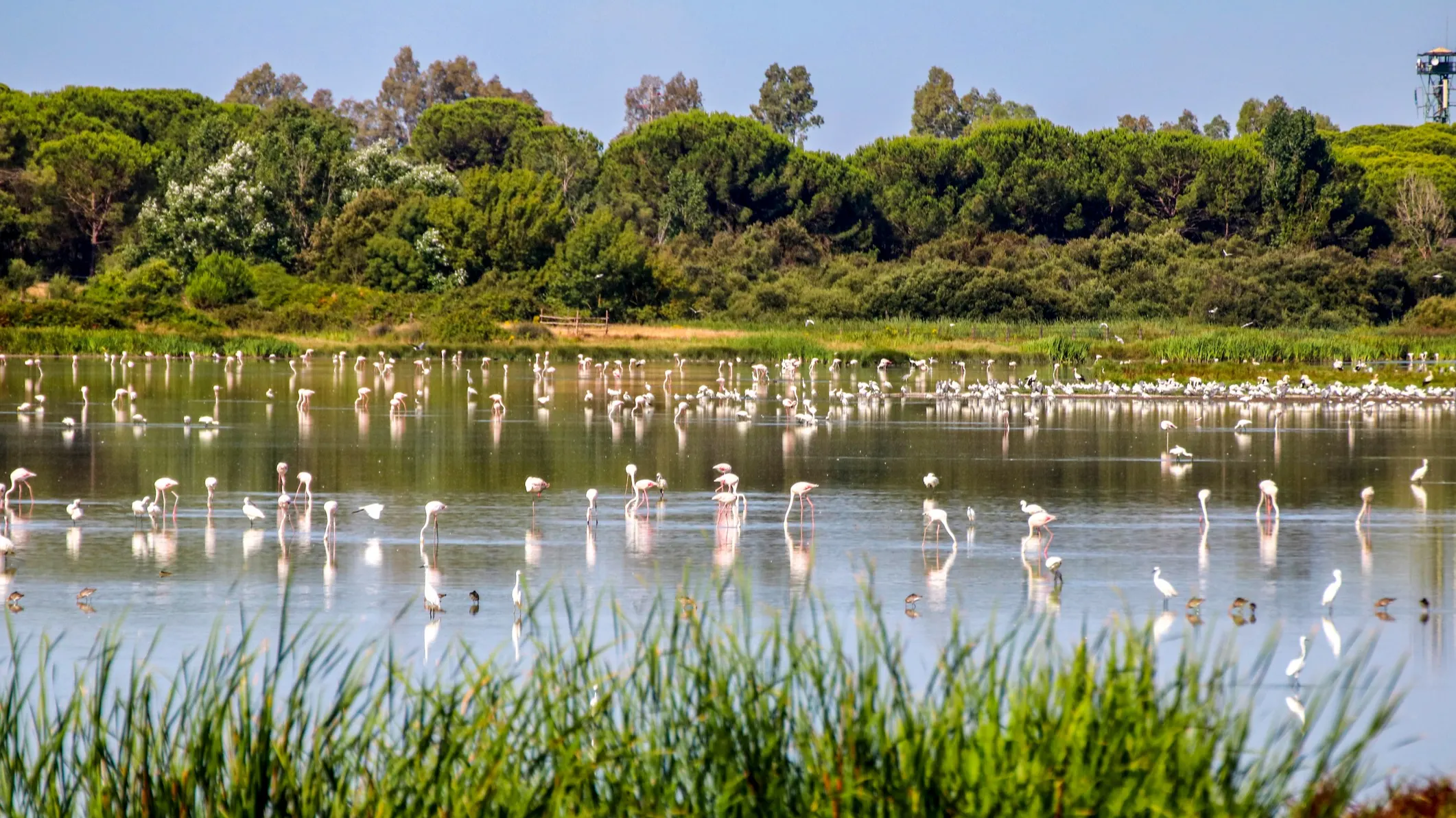 ©iStock/Pablo Escuder Cano