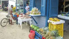 The farmers market in Placencia is the best place to get fresh produce for great prices and it's fun to stroll around.