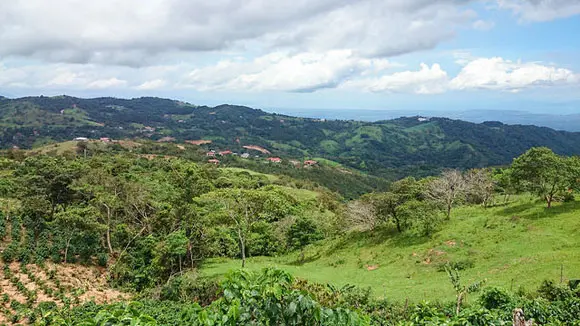 Rent: $225; Electricity: $30...My Low-Cost Bills Costa Rica