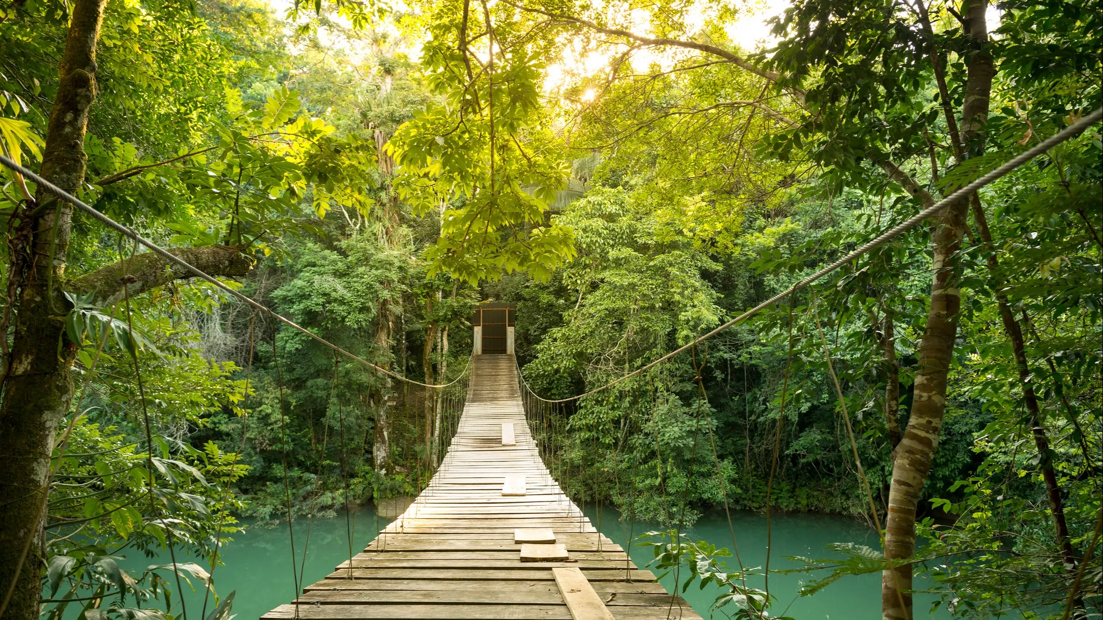 ©iStock/THP Creative