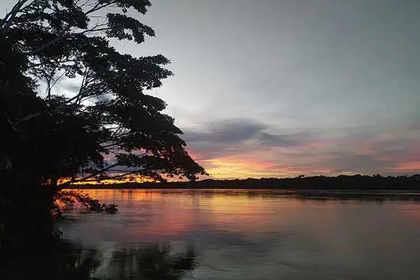 Taking a Riverboat to a Rainforest Ecolodge