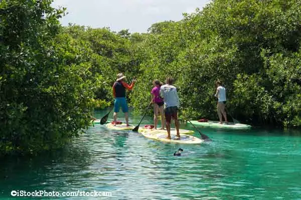 Learn to Paddle Board