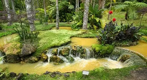 Furnas Hot Springs in the Azores aren’t quite in the tropics, but they certainly look the part. ©Dreamstime.com/VidalgoPhoto