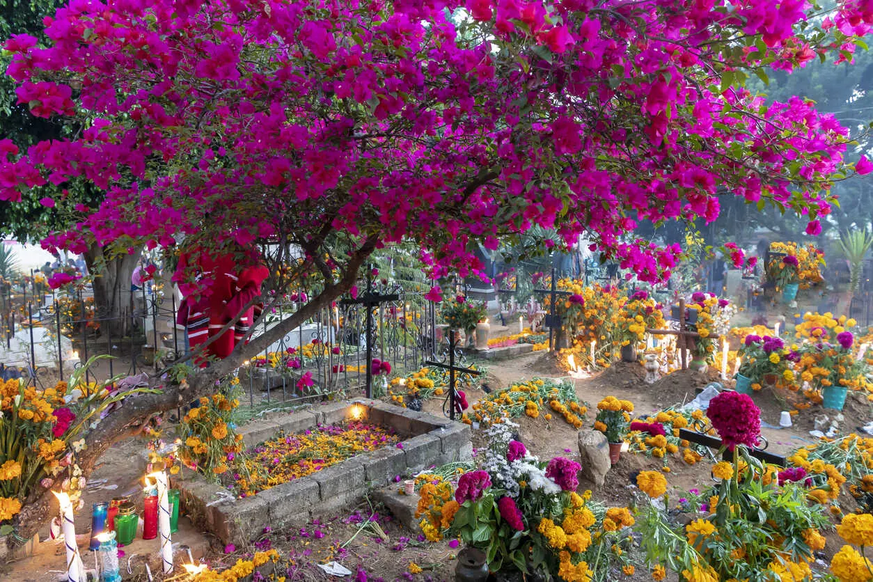 Oaxacan graves are decorated with flowers, candles, and the deceased’s favorite food for the Dia de los Muertos festival.
