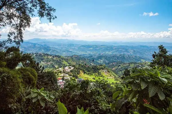 Coffee Triangle (Pereira, Manizales, Armenia)