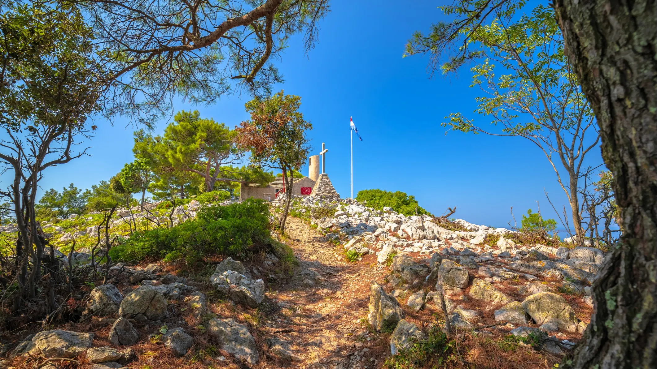 ©iStock/xbrchx