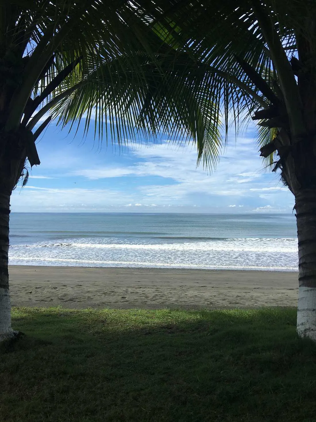 Serene beachfront view framed by palm trees in Puerto Armuelles.