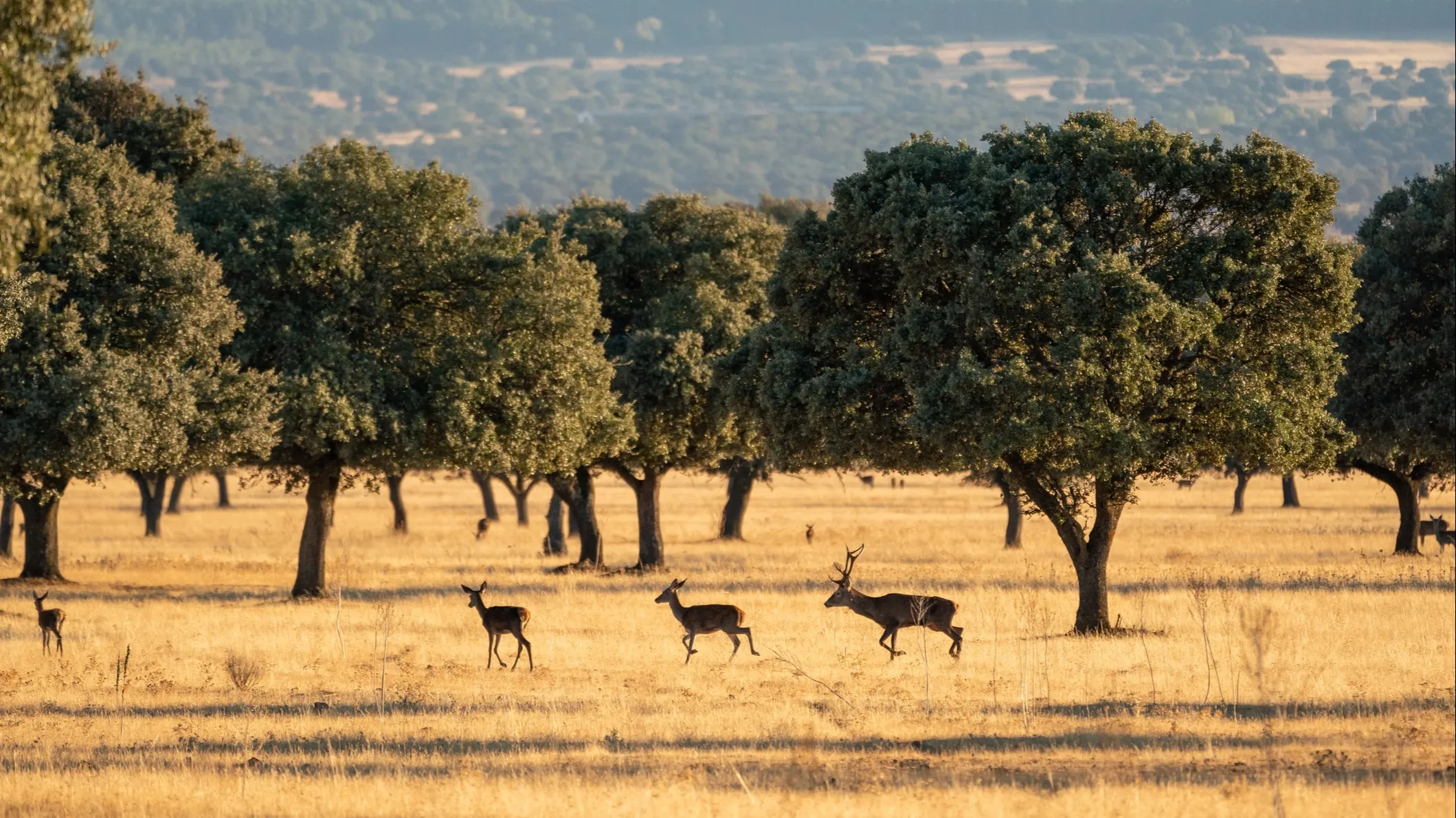 ©iStock/Vicente Suarez Belloch