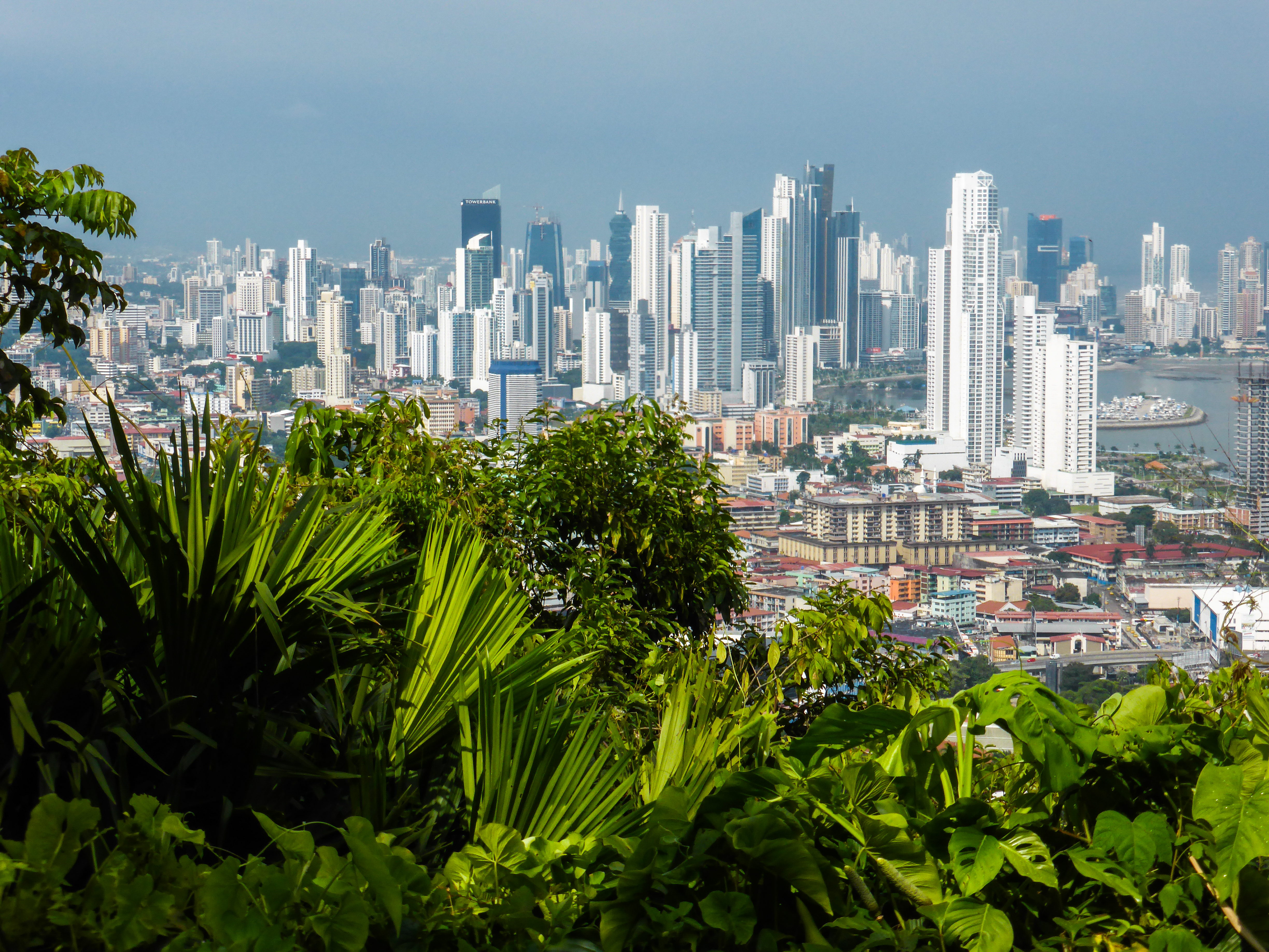 Acompañantes Panama