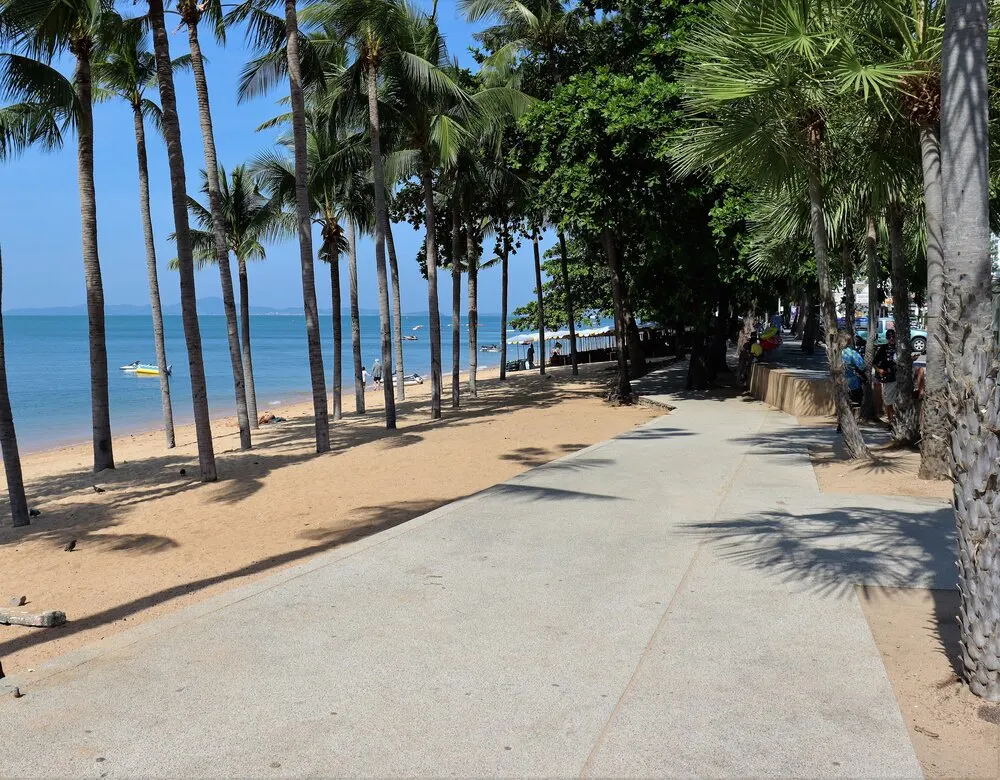 Enjoy a peaceful walk along Dongtan Beach’s shaded path.