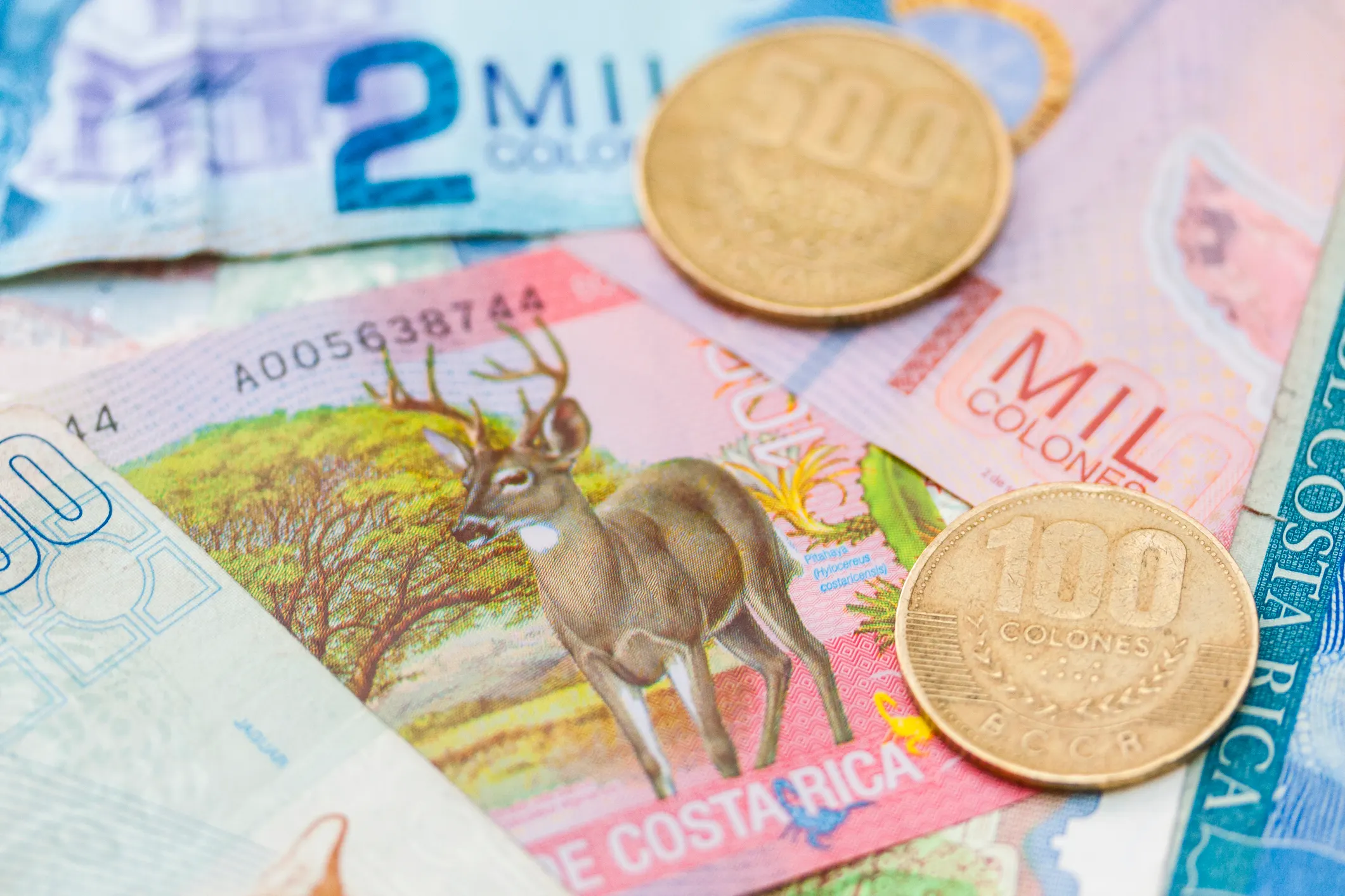 Understand Costa Rica’s tax system and how it affects expats.