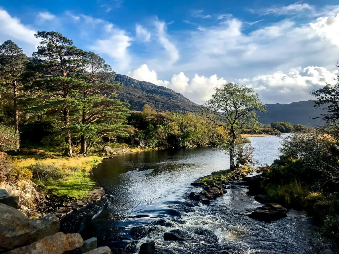 Zoé and Nate walk Killarney National Park, where daily strolls inspire a slower life.