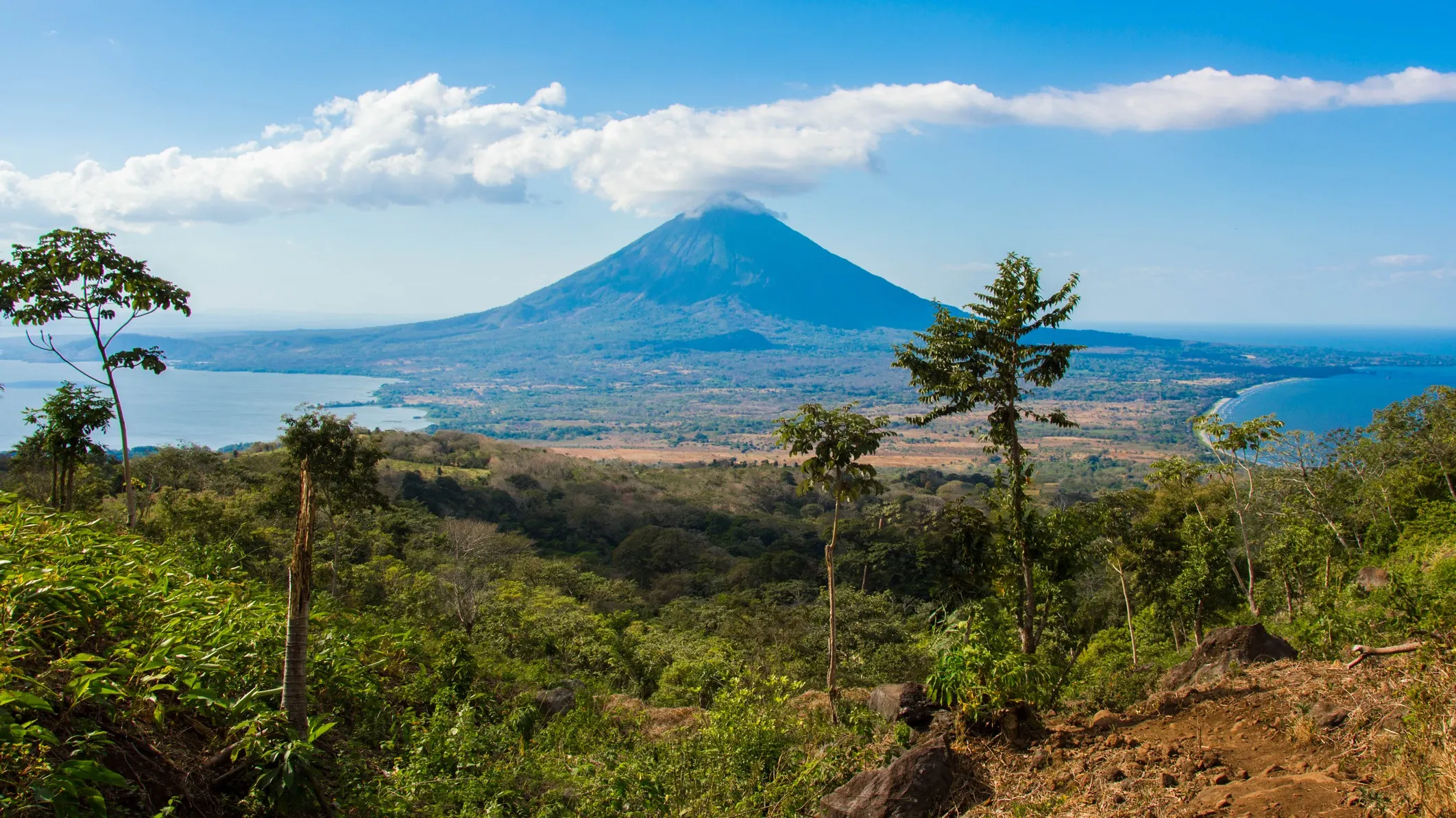 ©iStock/Alvaro Faraco