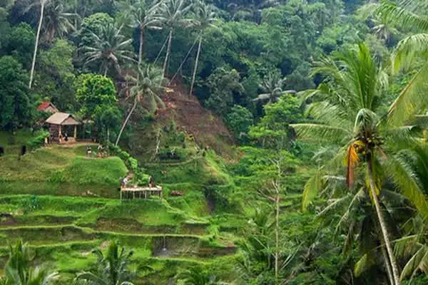 Climate-in-Ubud