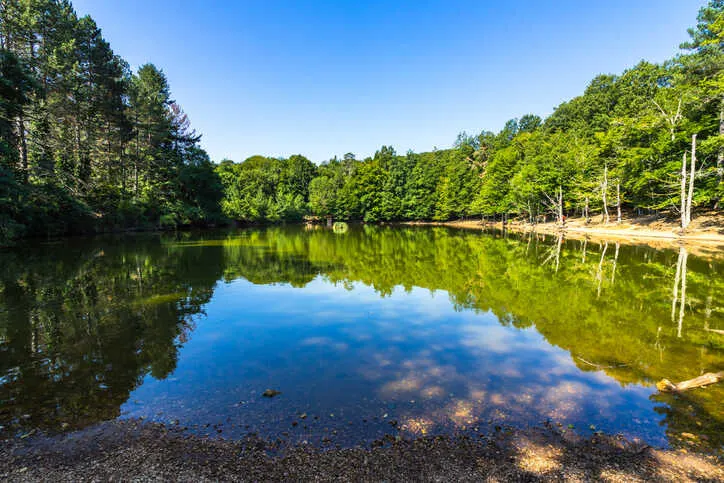 A small lake in the Umbra Forest, part of Gargano National Park.