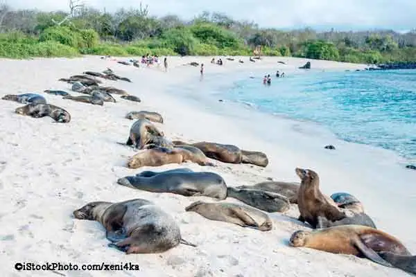 Explore the Galapagos