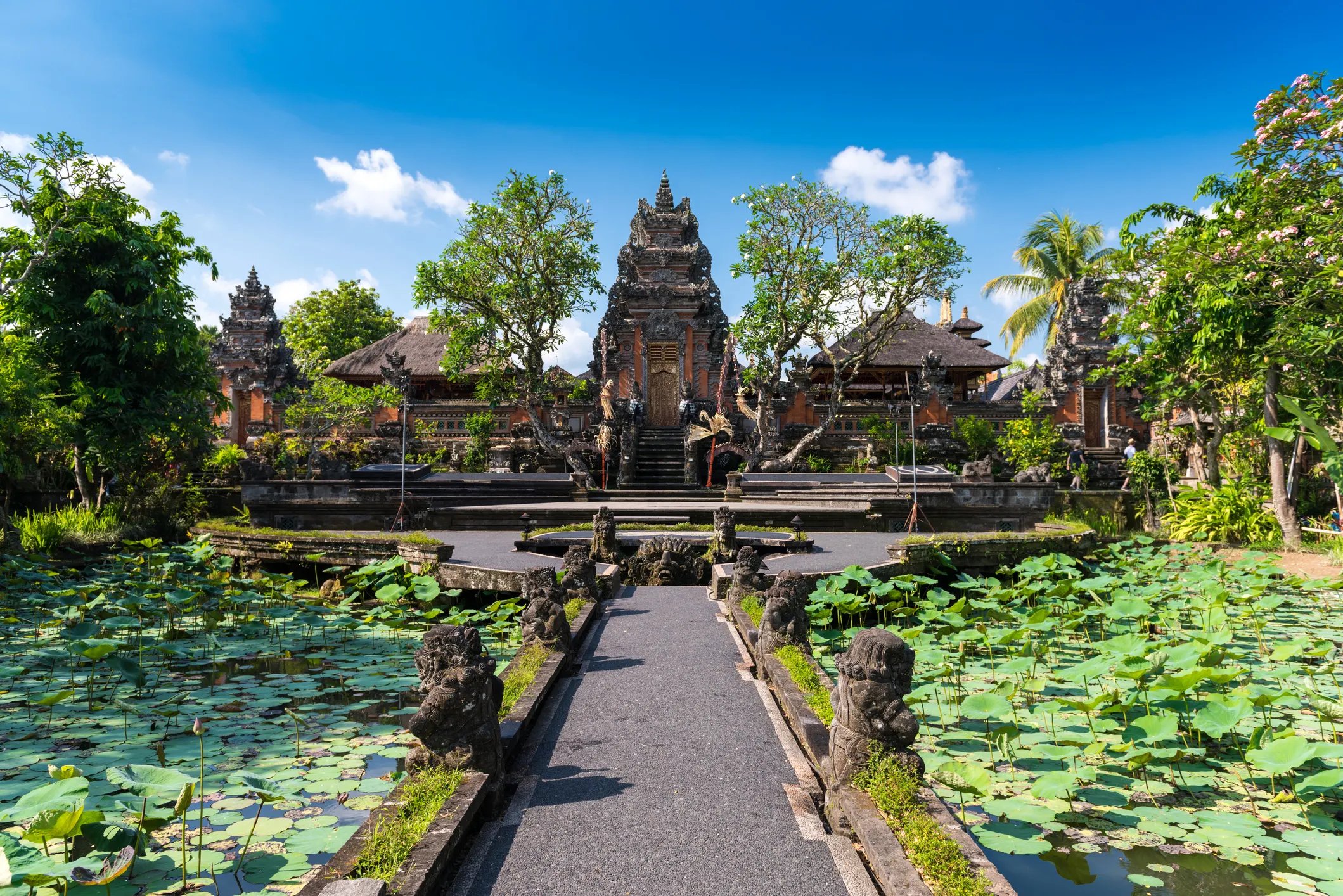 Ubud is known for being the spiritual and cultural heart of Bali.  