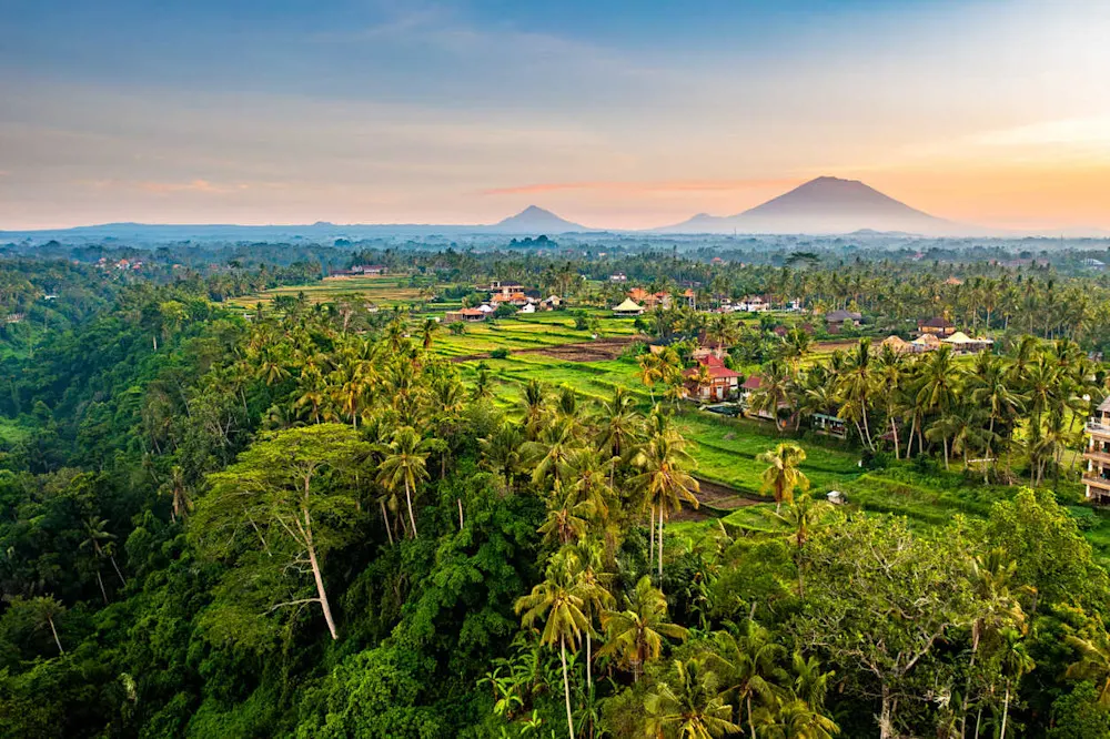 Wander Ubud’s rice terraces, markets, and sacred sites for a truly Balinese experience.
