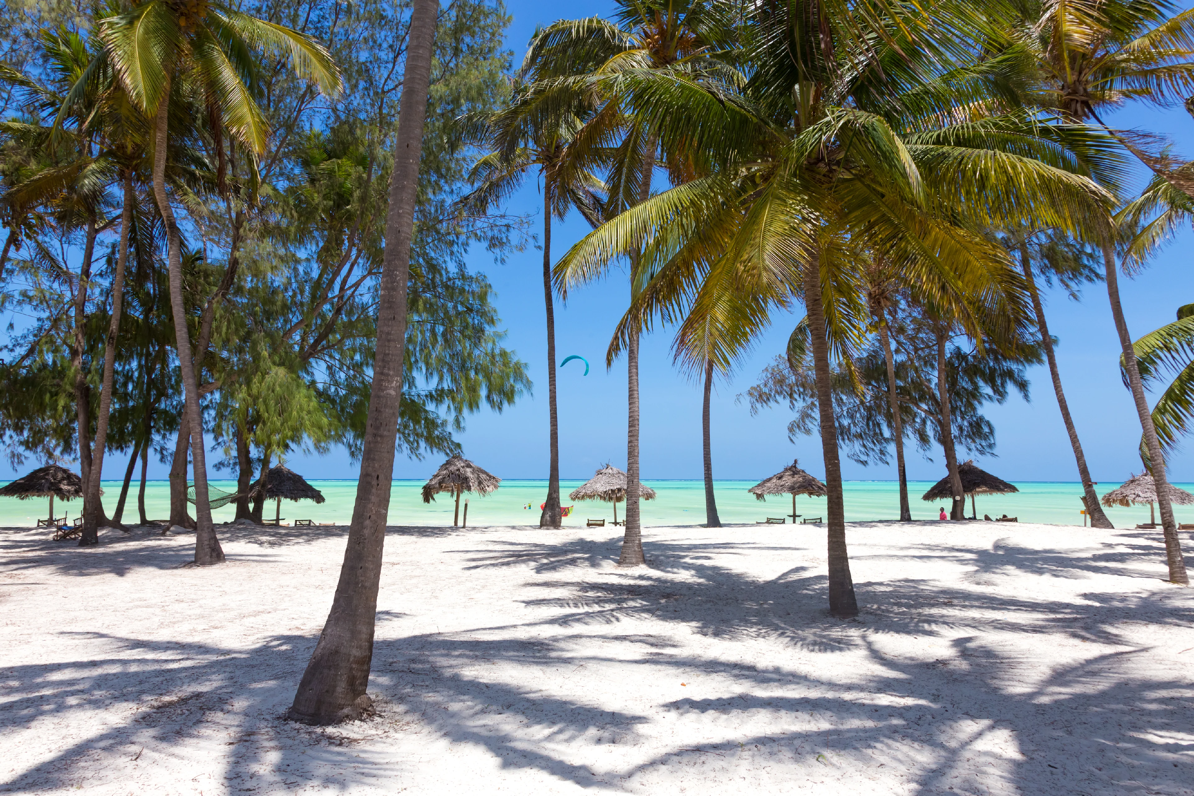 Vackra palmer med havet i bakgrunden på stranden Paje på Zanzibar