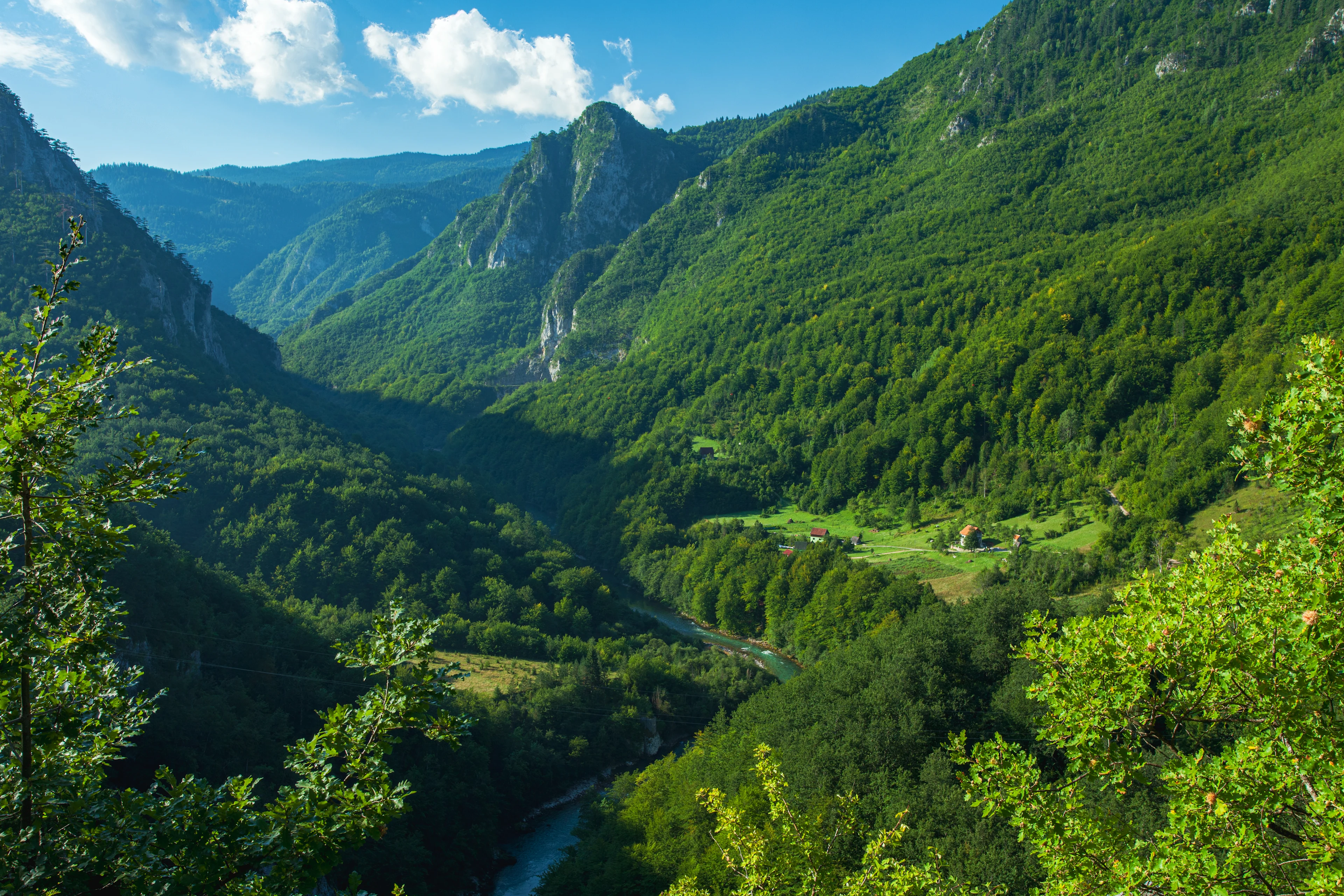 Utsikt över Tara-ravinen med grönklädda berg