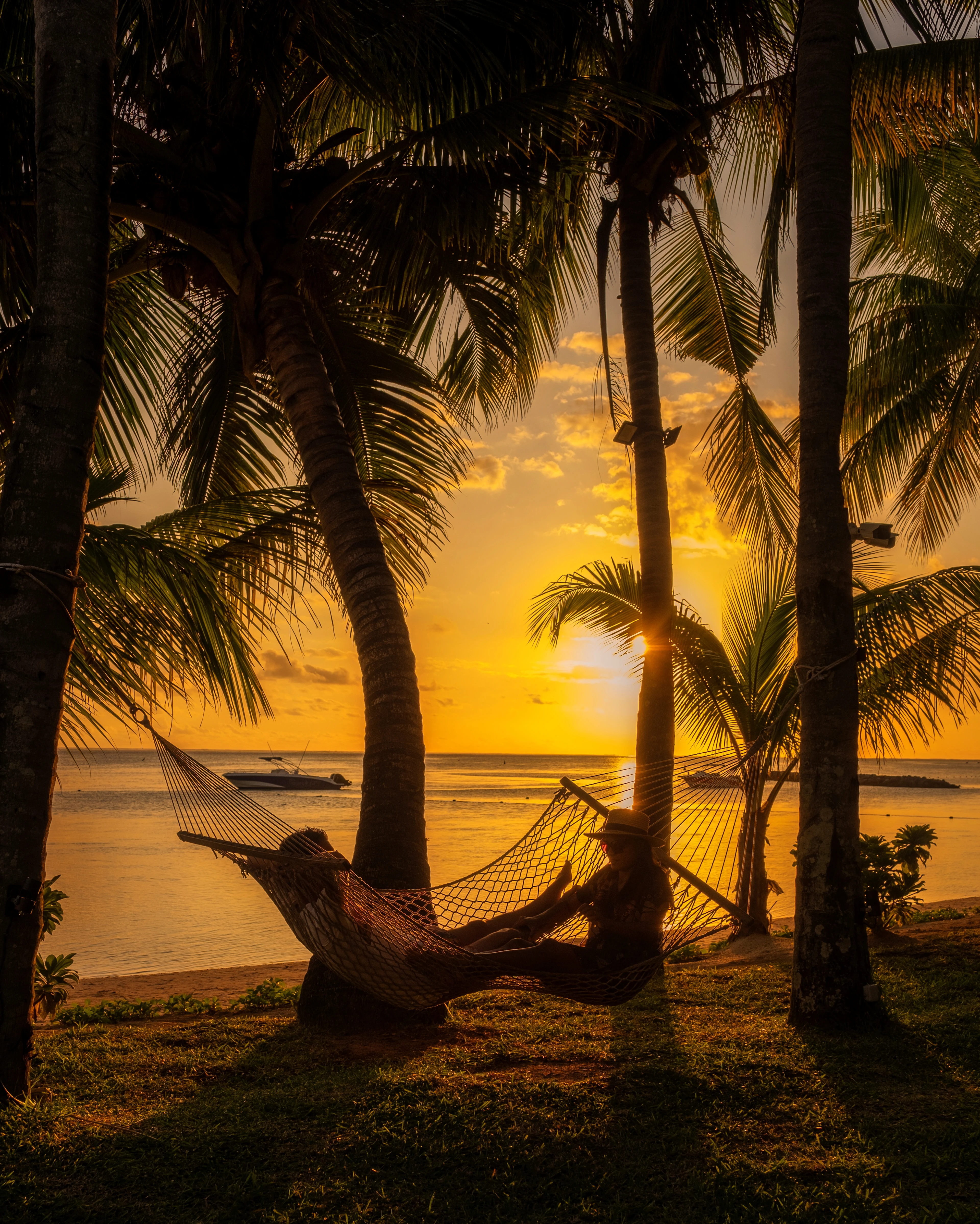 Hängmatta mellan palmer vid stranden på Mauritius i kvällssolen