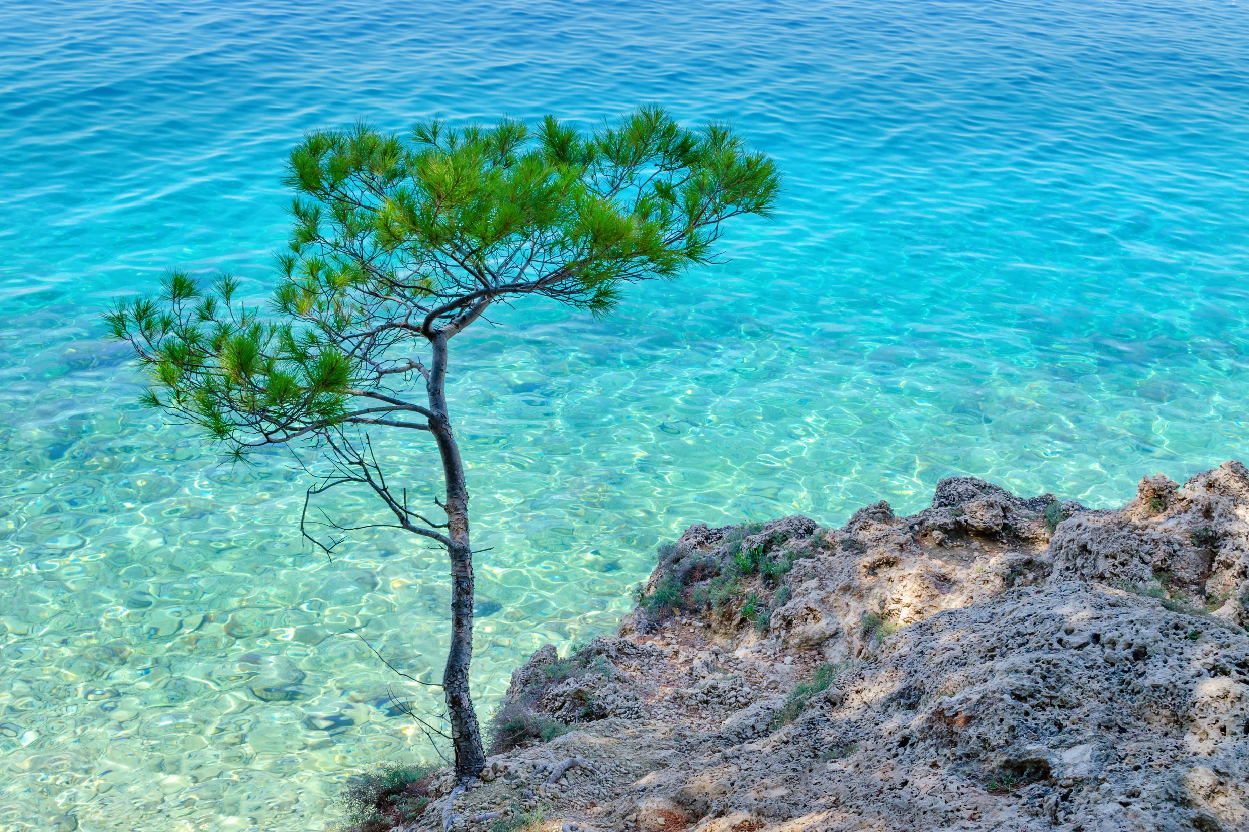 Kristallklart vatten i Tucepi